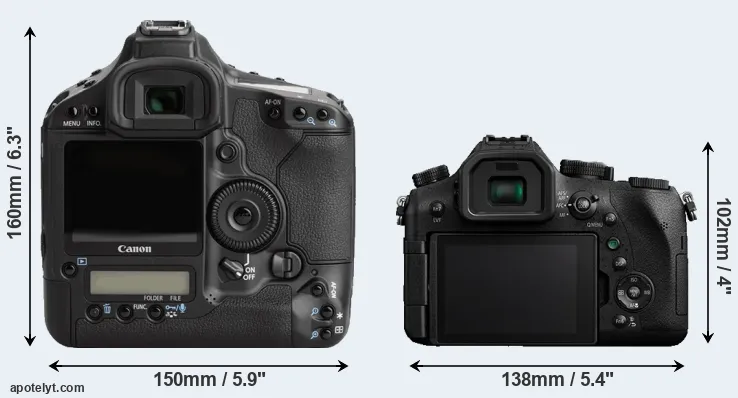 Comparison 1Ds Mark III or FZ2000 rear