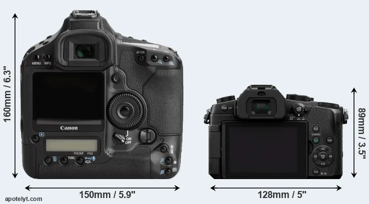 Comparison 1Ds Mark III or G85 rear