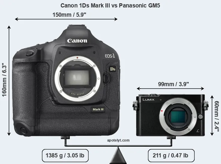 Size Canon 1Ds Mark III vs Panasonic GM5