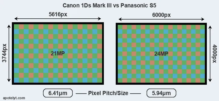 1Ds Mark III versus S5 MP
