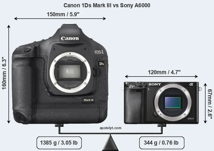 Size Canon 1Ds Mark III vs Sony A6000