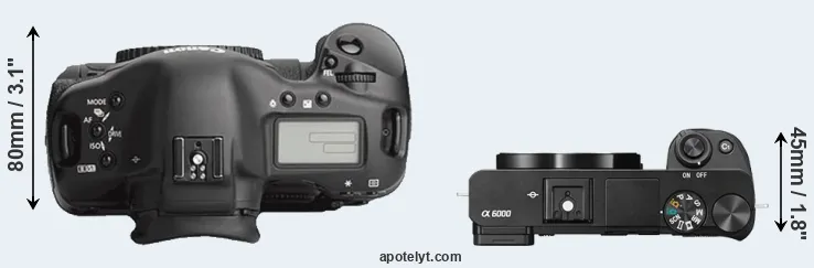 Compare 1Ds Mark III versus A6000 top