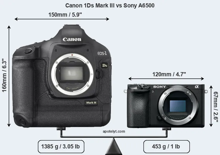 Size Canon 1Ds Mark III vs Sony A6500