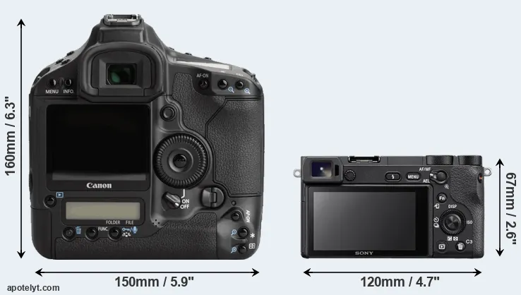 Comparison 1Ds Mark III or A6500 rear