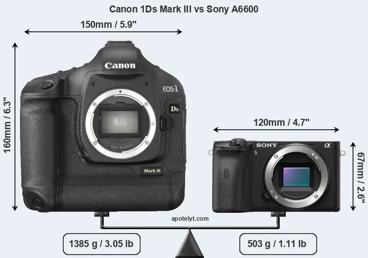 Size Canon 1Ds Mark III vs Sony A6600