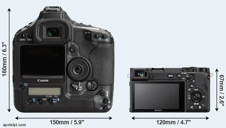 Comparison 1Ds Mark III or A6600 rear