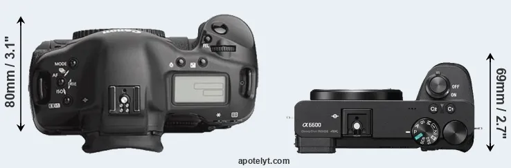Compare 1Ds Mark III versus A6600 top