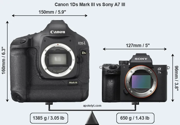 Size Canon 1Ds Mark III vs Sony A7 III