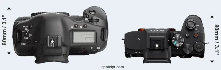 Compare 1Ds Mark III versus A7 IV top