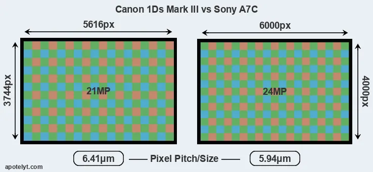 1Ds Mark III versus A7C MP