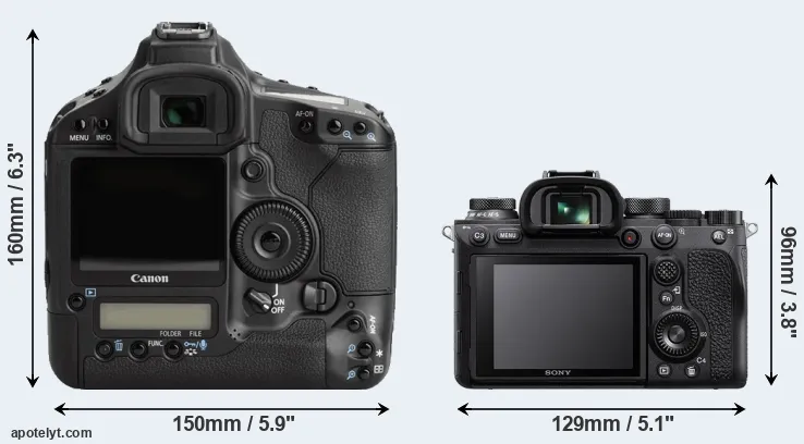 Comparison 1Ds Mark III or A9 II rear