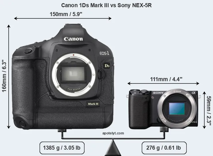 Size Canon 1Ds Mark III vs Sony NEX-5R