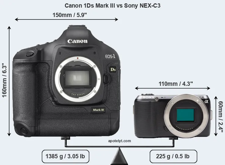 Size Canon 1Ds Mark III vs Sony NEX-C3