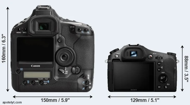 Comparison 1Ds Mark III or RX10 II rear