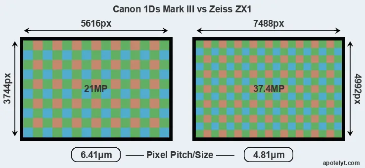 1Ds Mark III versus ZX1 MP