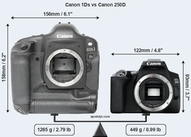 Size Canon 1Ds vs Canon 250D