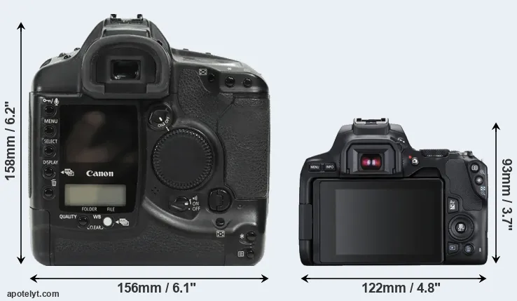 Comparison 1Ds or 250D rear