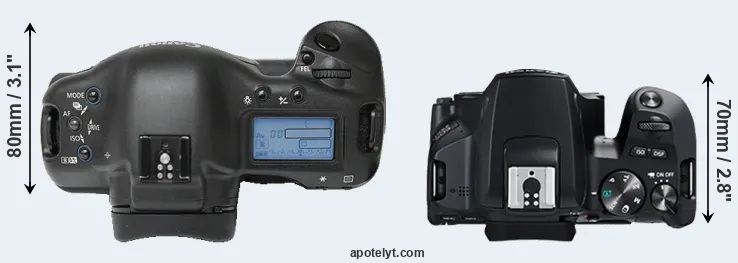 Compare 1Ds versus 250D top