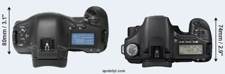 Compare 1Ds versus 30D top