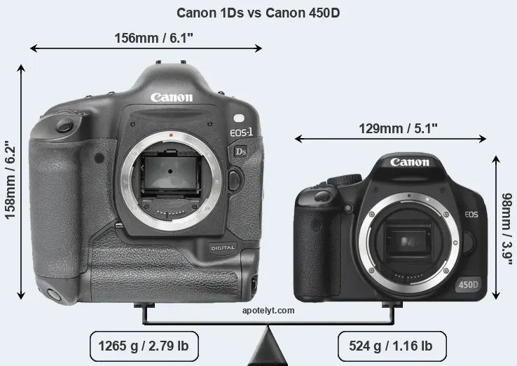 Size Canon 1Ds vs Canon 450D