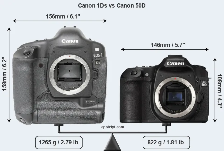 Size Canon 1Ds vs Canon 50D