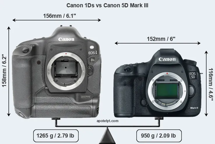 Size Canon 1Ds vs Canon 5D Mark III