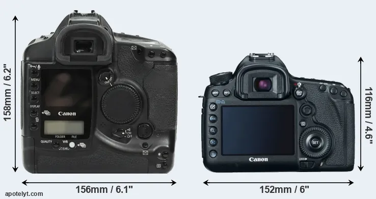 Comparison 1Ds or 5D Mark III rear
