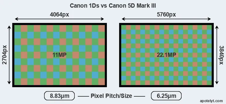 1Ds versus 5D Mark III MP