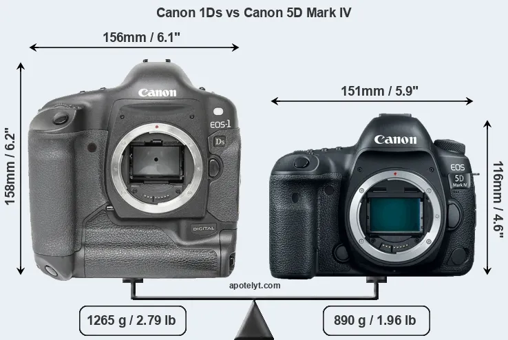 Size Canon 1Ds vs Canon 5D Mark IV