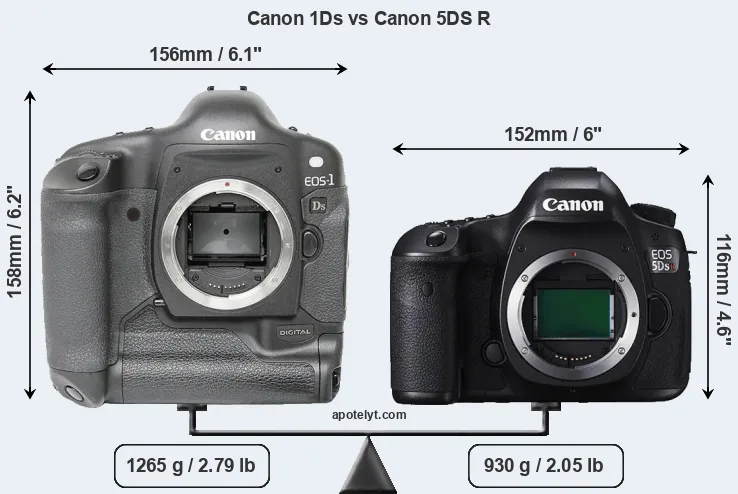 Size Canon 1Ds vs Canon 5DS R