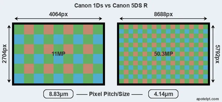 1Ds versus 5DS R MP