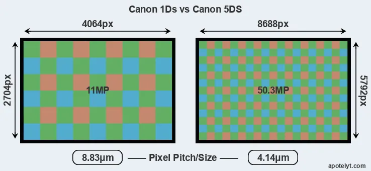1Ds versus 5DS MP