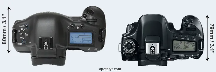 Compare 1Ds versus 80D top