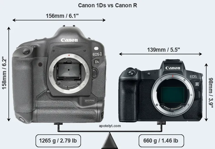 Size Canon 1Ds vs Canon R