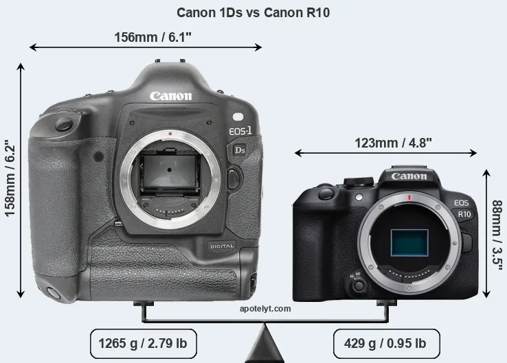 Size Canon 1Ds vs Canon R10