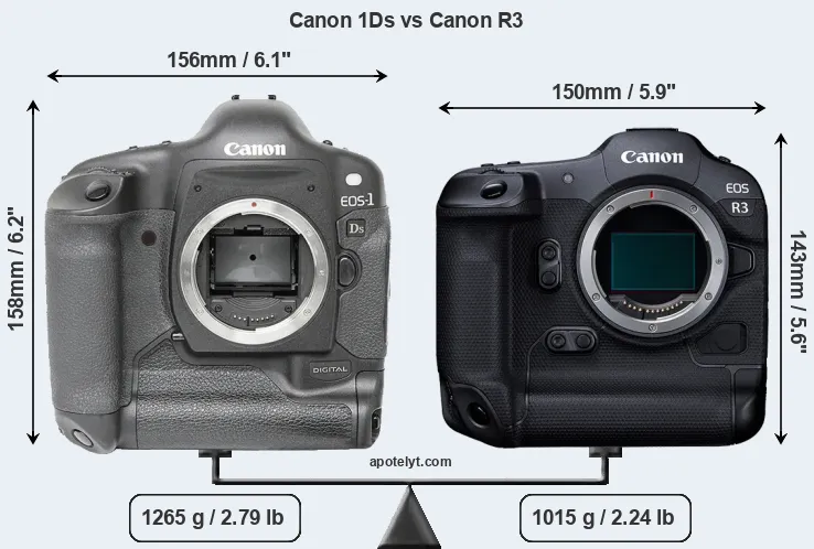 Size Canon 1Ds vs Canon R3