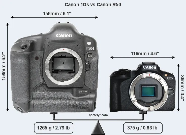 Size Canon 1Ds vs Canon R50