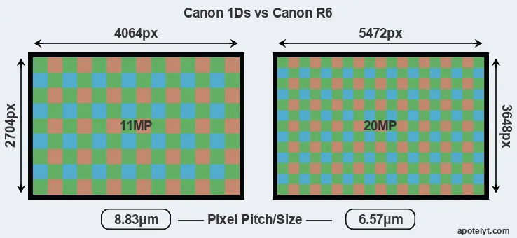 1Ds versus R6 MP