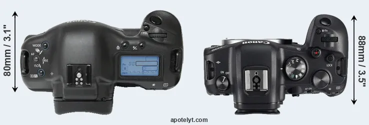 Compare 1Ds versus R6 top