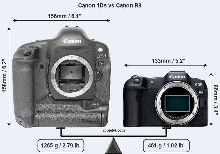 Size Canon 1Ds vs Canon R8