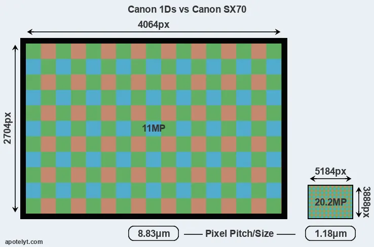 1Ds versus SX70 MP