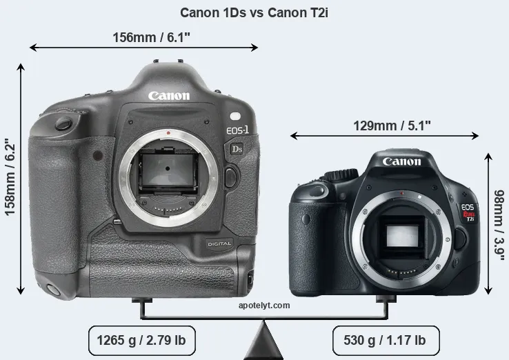 Size Canon 1Ds vs Canon T2i