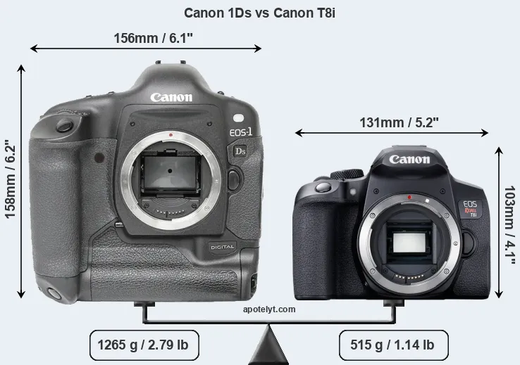 Size Canon 1Ds vs Canon T8i