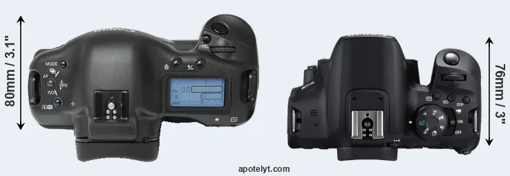 Compare 1Ds versus T8i top