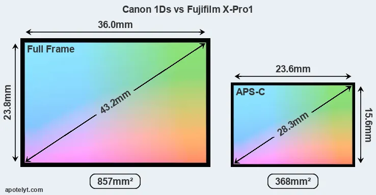 Canon 1Ds and Fujifilm X-Pro1 sensor measures