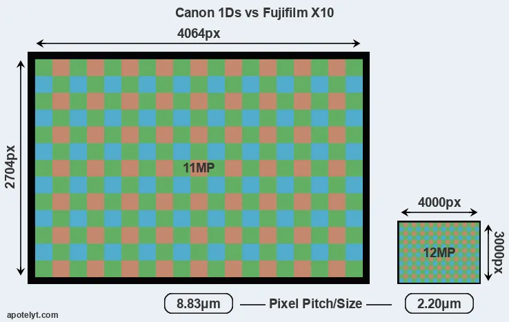 1Ds versus X10 MP