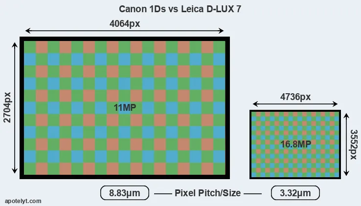 1Ds versus D-LUX 7 MP