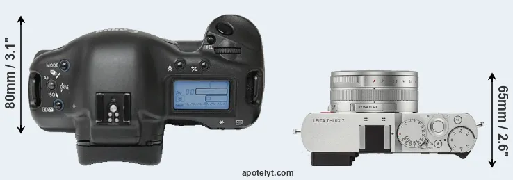 Compare 1Ds versus D-LUX 7 top