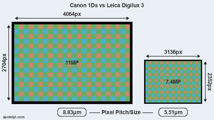 1Ds versus Digilux 3 MP
