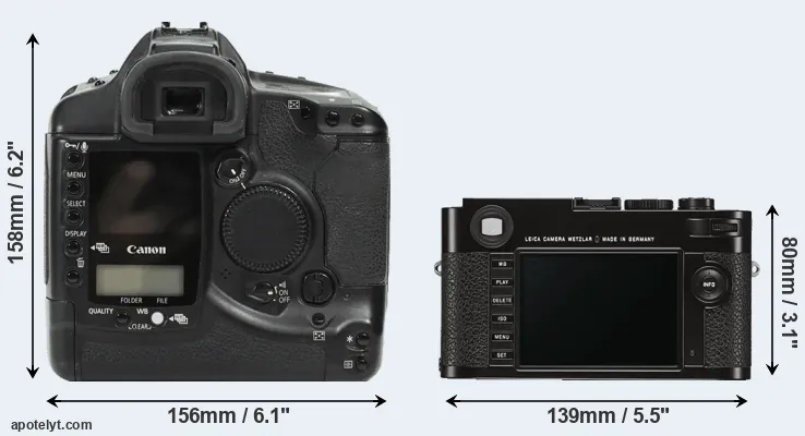 Comparison 1Ds or M Typ 262 rear